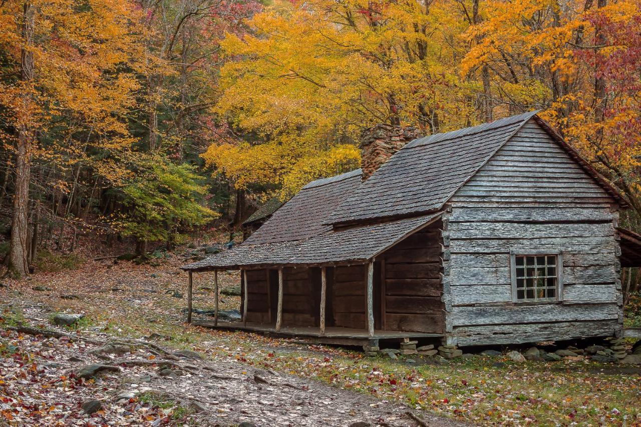 Love Shack Sevierville Kültér fotó